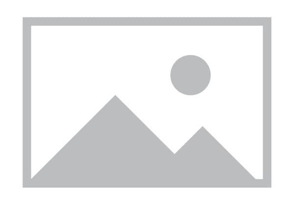 Actividades de Conmemoración